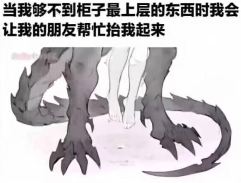via 犯罪嫌疑人张某