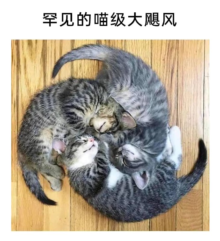 via 7号沙雕网友