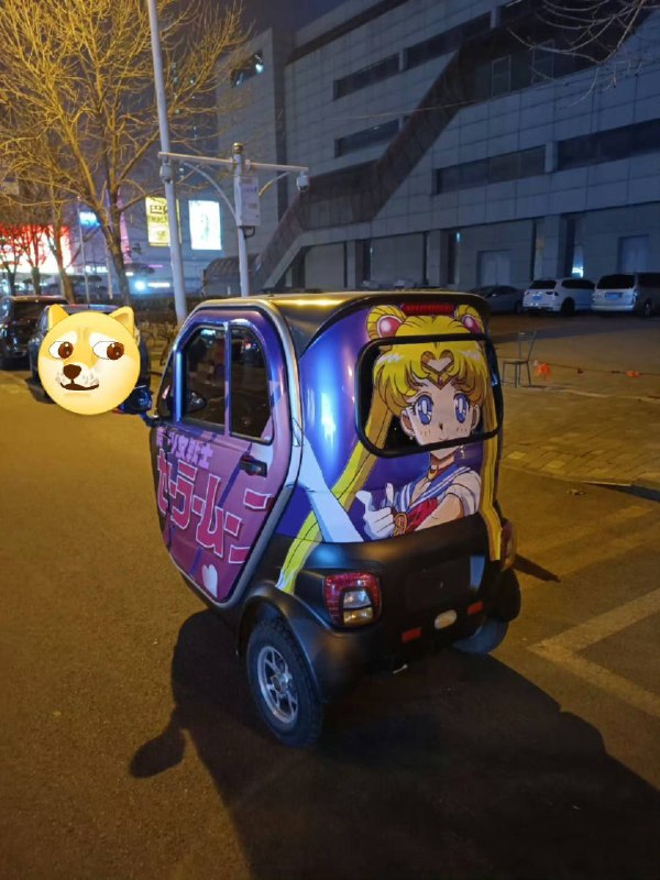 老年代步痛车from 平壤卫视