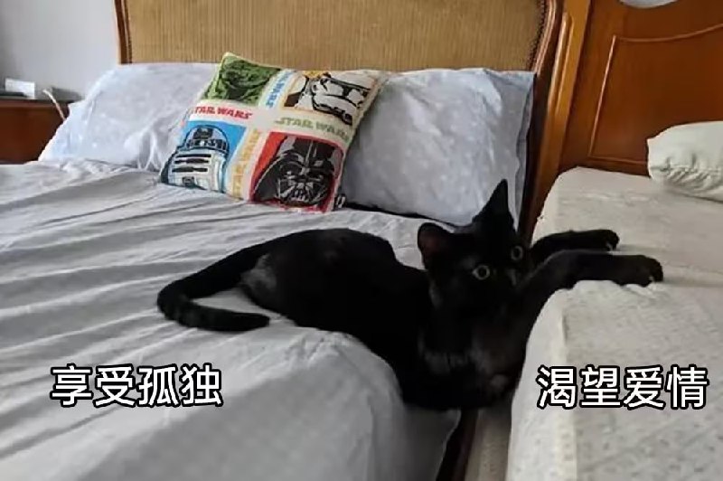 via 8号沙雕网友