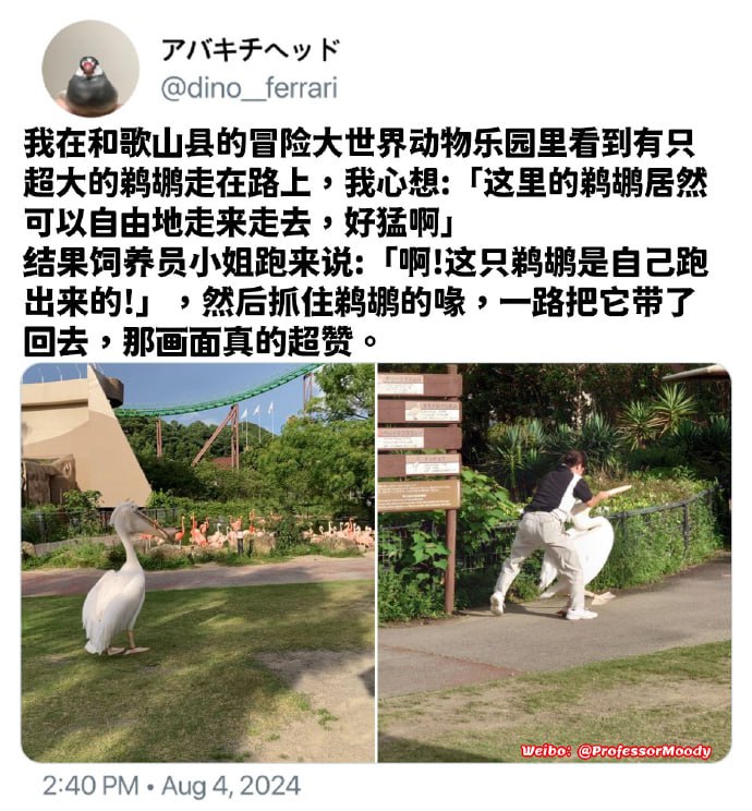你小子早退是吧