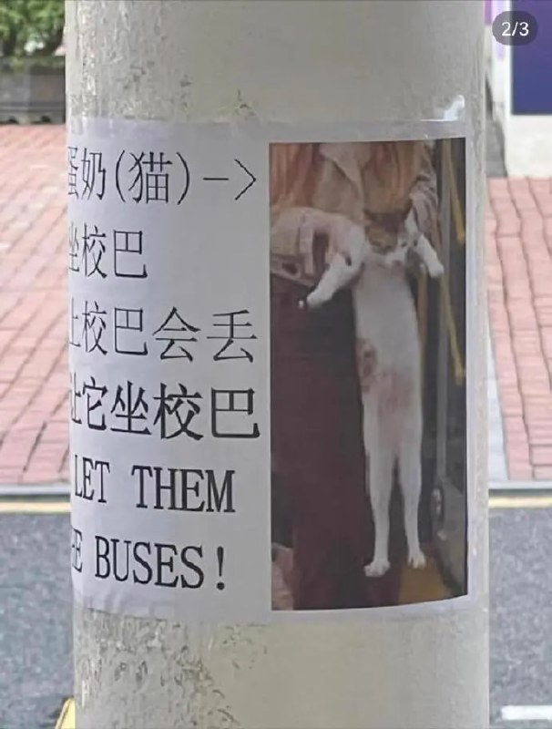 from 平壤卫视from 平壤卫视