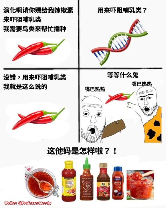 标题五个字还有这个类型的meme图吗？乐死我了标题五个字还有这个类型的meme图吗？乐死我了