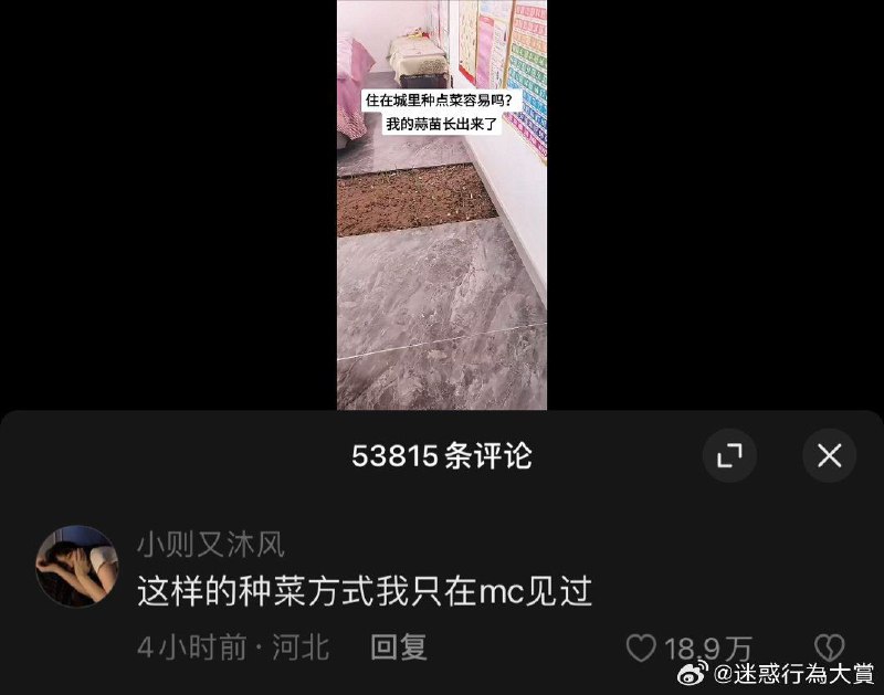 from 心惊报 via Enlysurefrom 心惊报 via Enlysure
