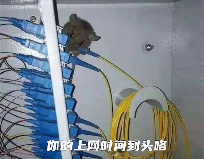 via 冷柠