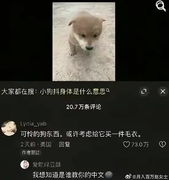 via 8号沙雕网友