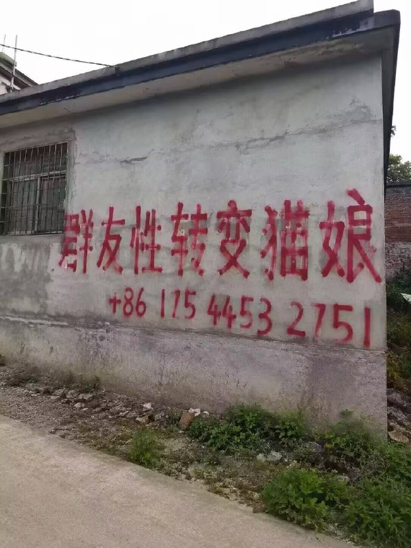from QQ空间