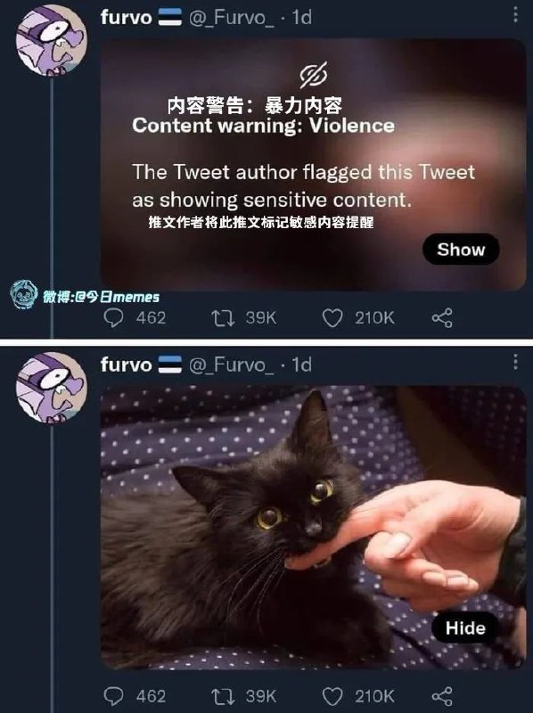 from 猫猫窝🐱