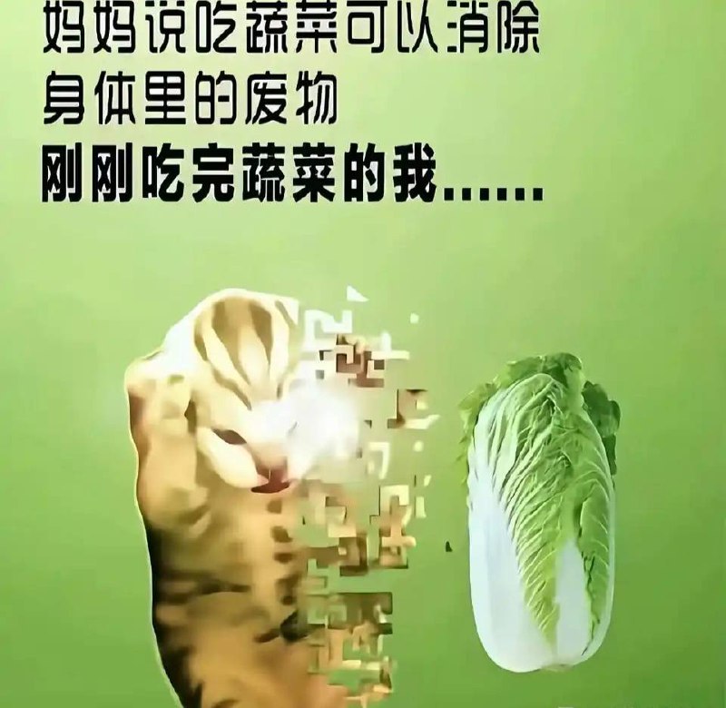 via 犯罪嫌疑人张某