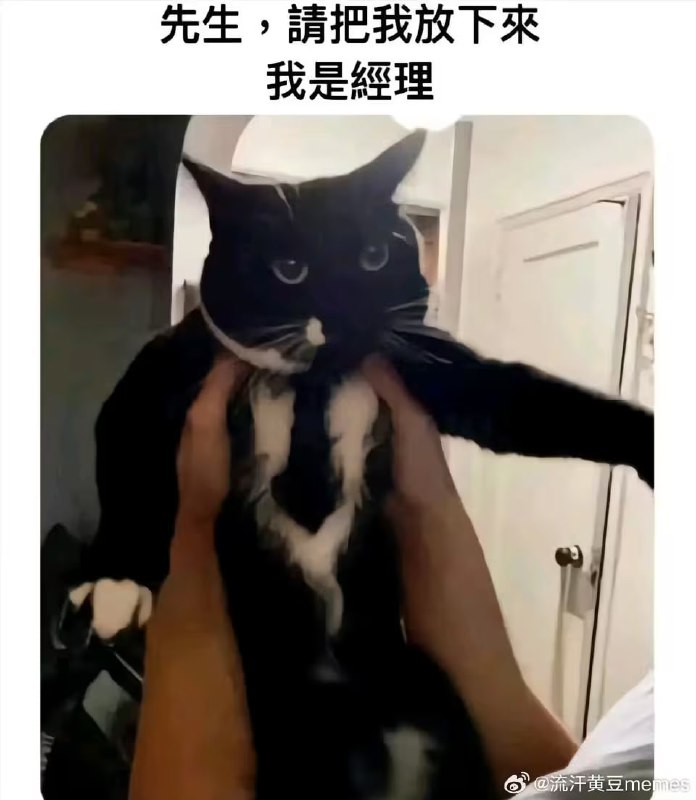 via 6号沙雕网友