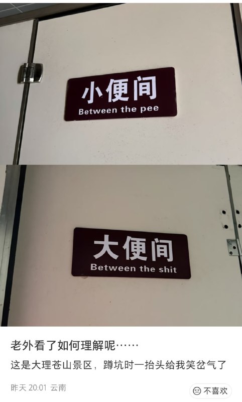🤣from 平壤卫视