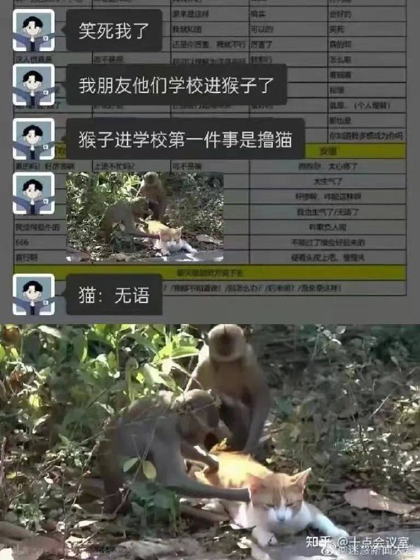 via 犯罪嫌疑人张某