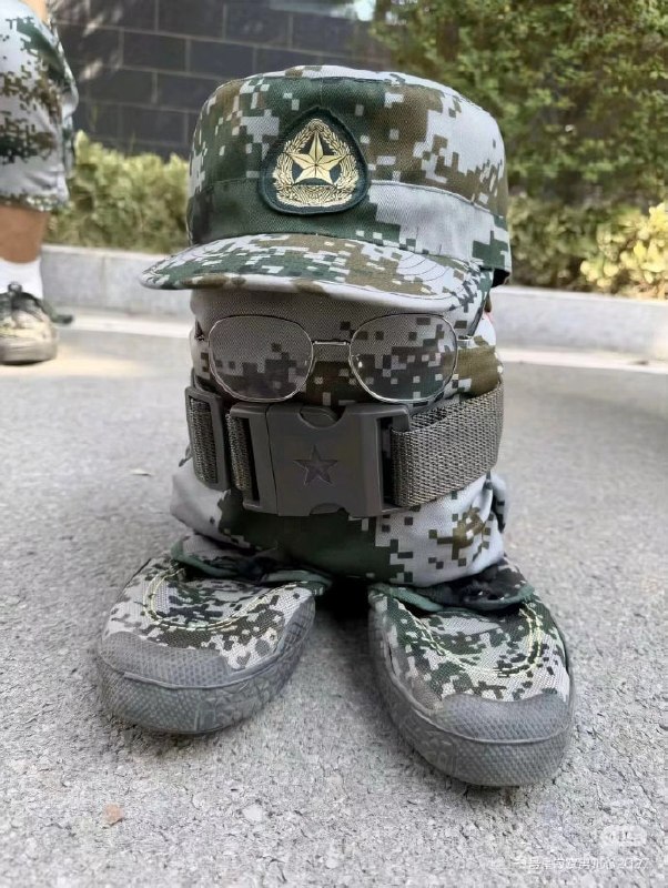 😑from 平壤卫视