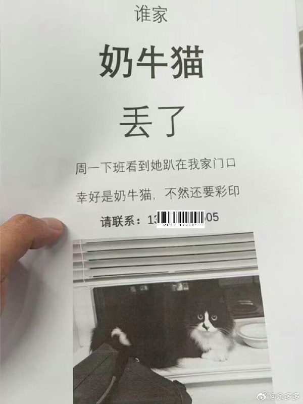 《幸好是奶牛猫，不然还要彩印》from rvalue的生草日常