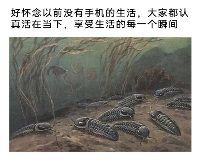 via 7号沙雕网友