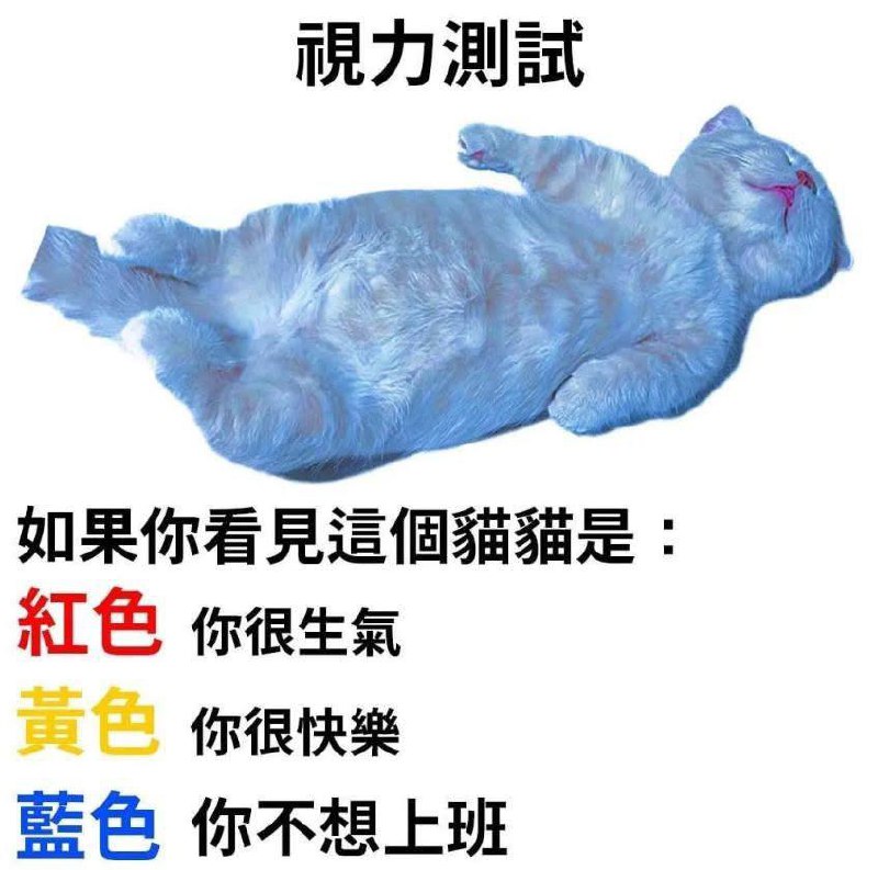 from 警察這裡有大麻🌿 via DECADE