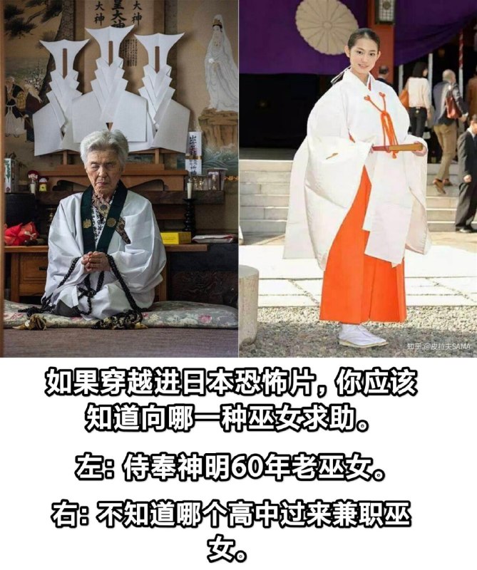 from 美图与沙雕