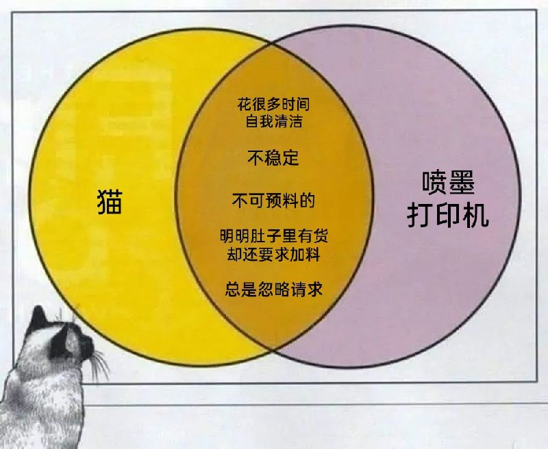via 明月遥