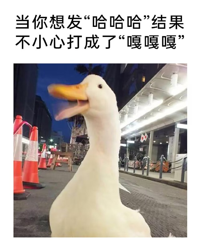 via 7号沙雕网友