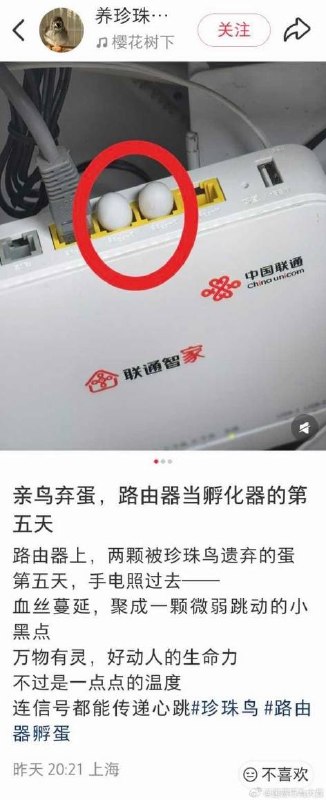 via 8号沙雕网友via 8号沙雕网友