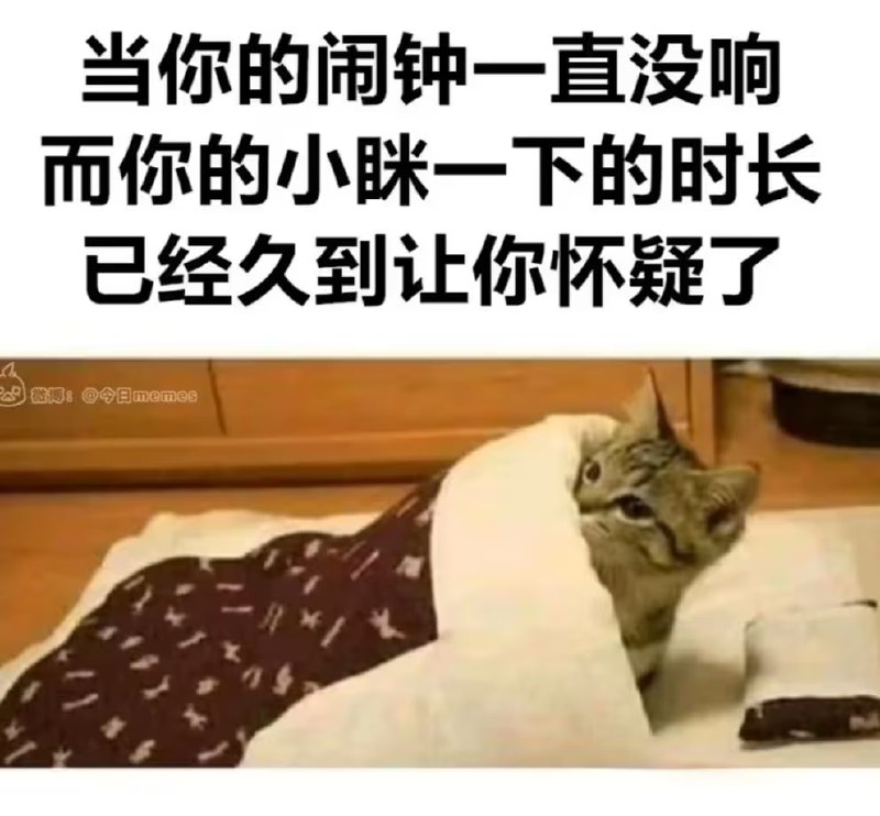 via 6号沙雕网友