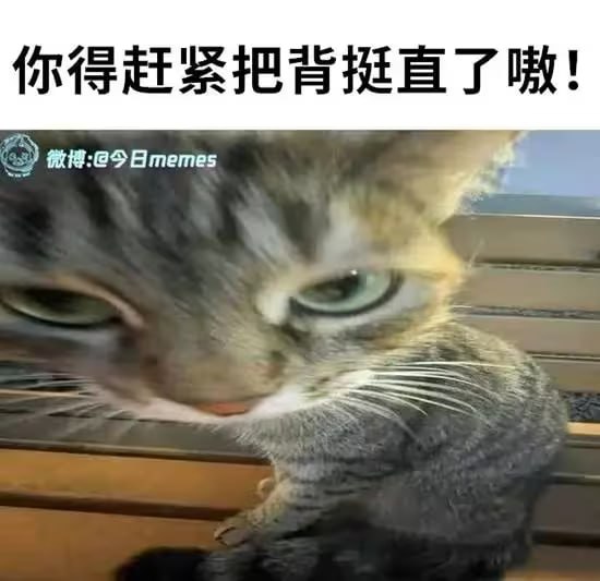 via 6号沙雕网友