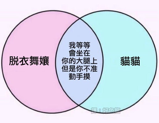 via 6号沙雕网友