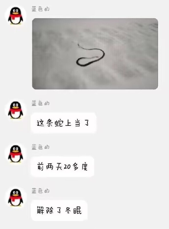 蛇