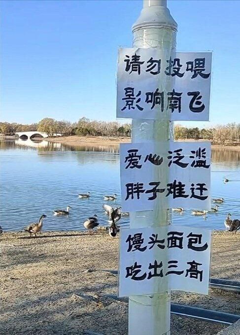 from 什麼都來點 via DECADE