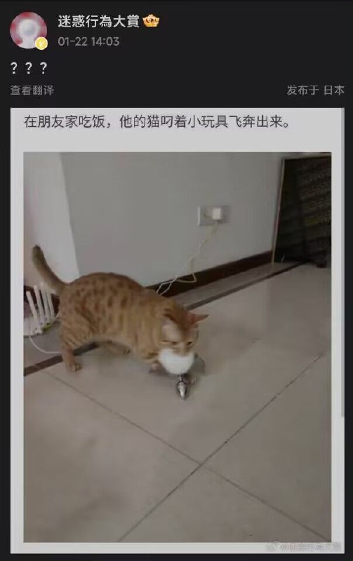 from 猫猫窝🐈🐈‍⬛