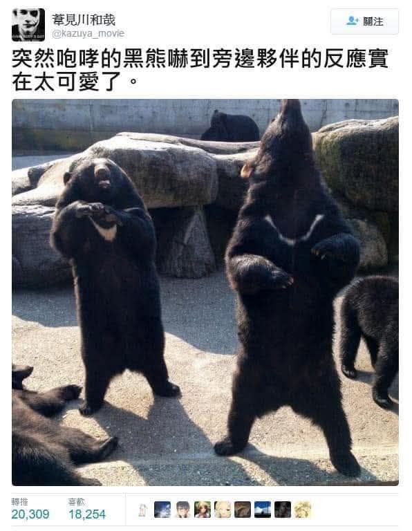 from 什麼都來點 via DECADE