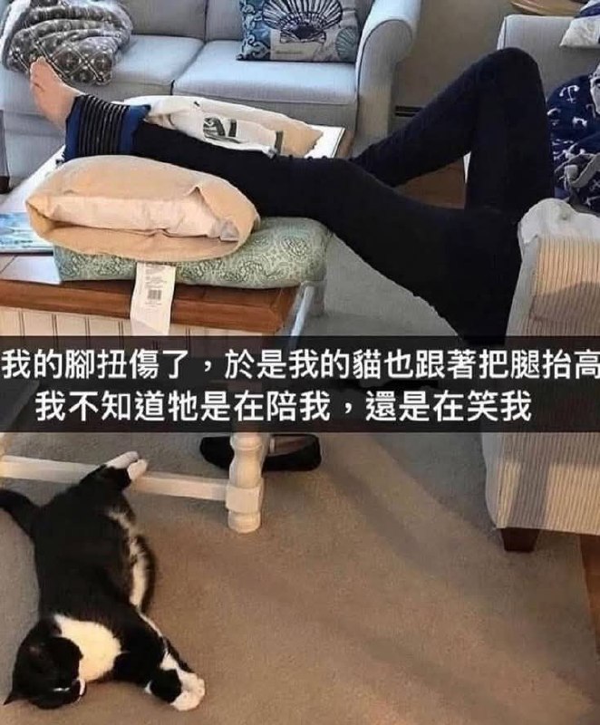 from 什麼都來點 via DECADE