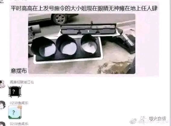 via 犯罪嫌疑人张某