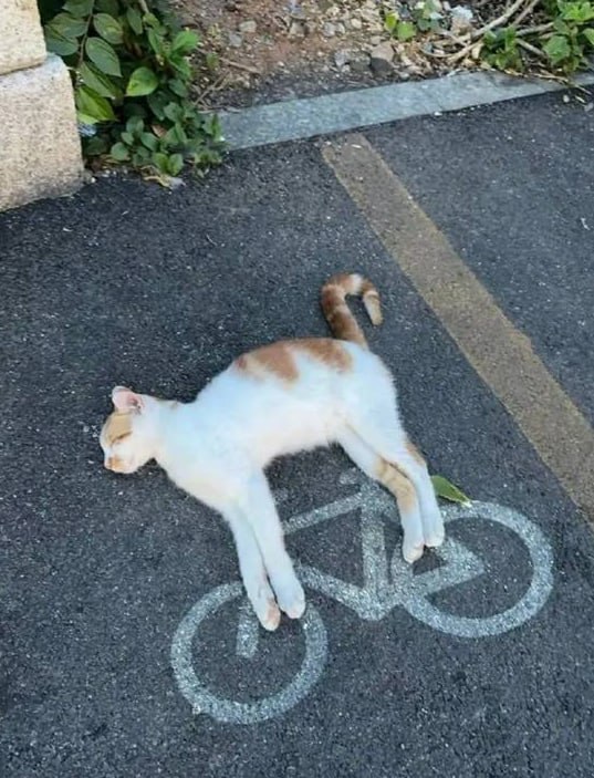 via 7号沙雕网友