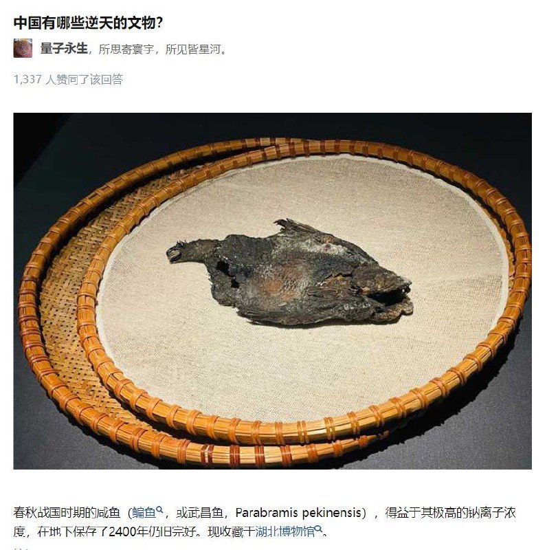 from 什麼都來點 via DECADE