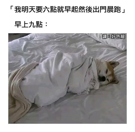 via 宇智波天天