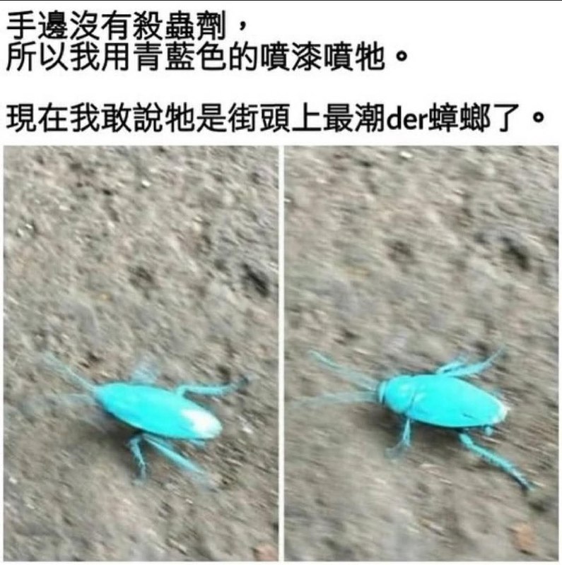 我去！初音未來！from 什麼都來點 via DECADE