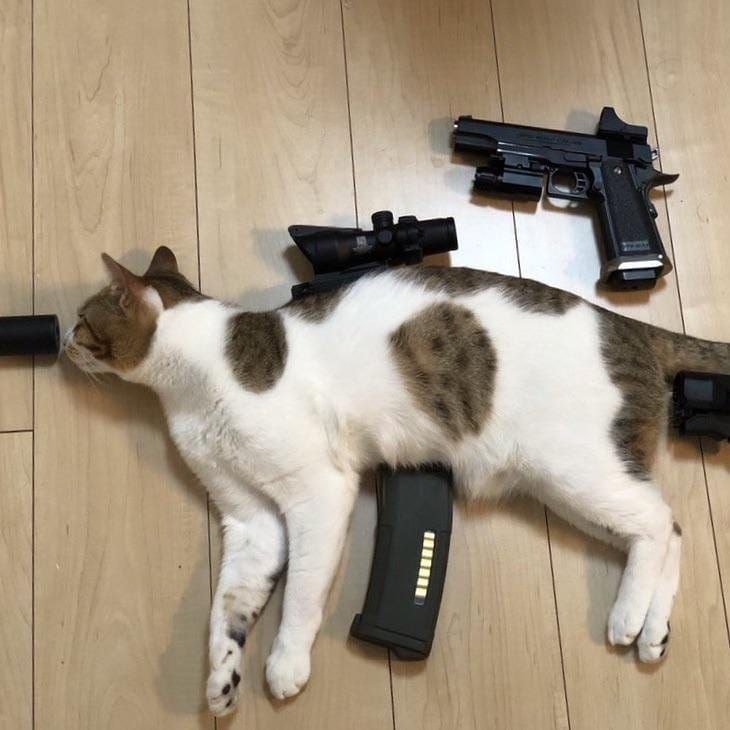 突基步枪via Meng Xin