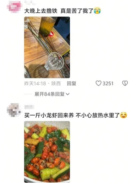 from 平壤卫视