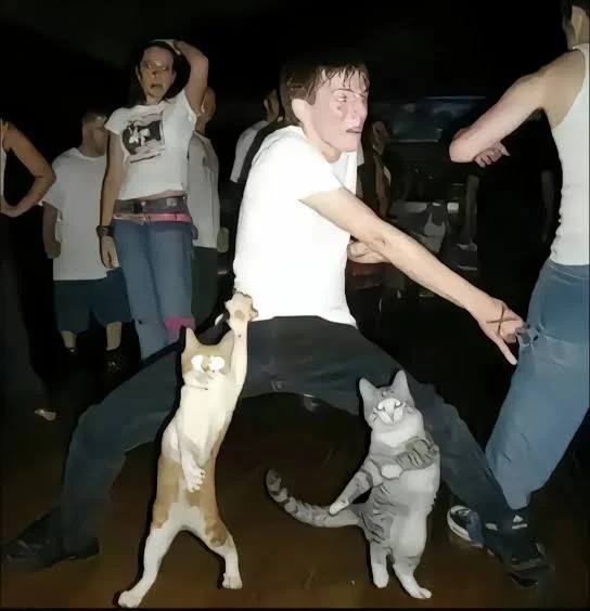 via 犯罪嫌疑人张某