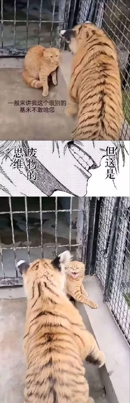 from 發點囧圖 via DECADE