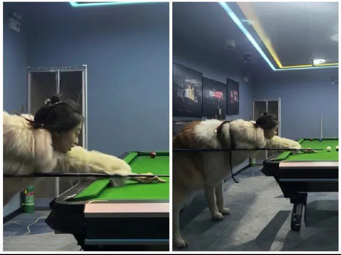 离谱的AI扩图🤣离谱的AI扩图🤣