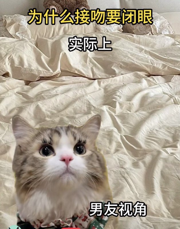 via 喵via 喵