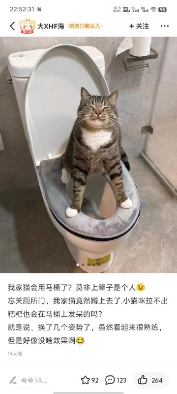 from 猫猫窝🐈🐈‍⬛️from 猫猫窝🐈🐈‍⬛️