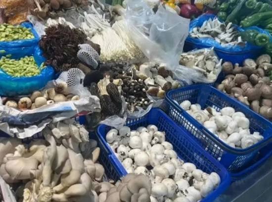 via 7号沙雕网友via 7号沙雕网友