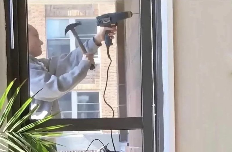 😧from 平壤卫视