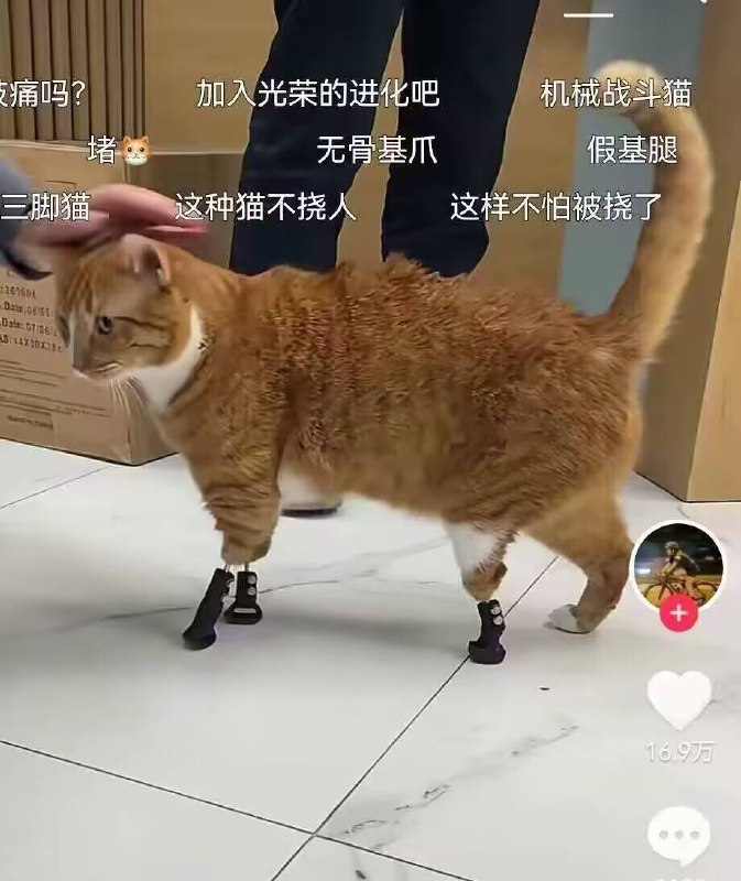 via my nbkls