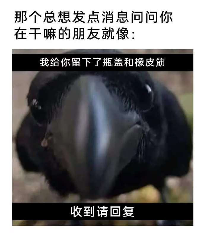 via 7号沙雕网友