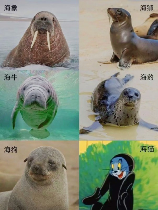 from Ryan's 家门口 📢