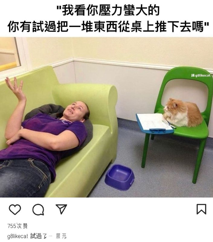 from 猫猫窝🐈🐈‍⬛️